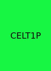 Celtic Extends Lead To 16 Points