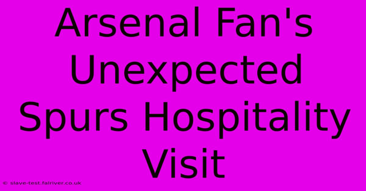 Arsenal Fan's Unexpected Spurs Hospitality Visit