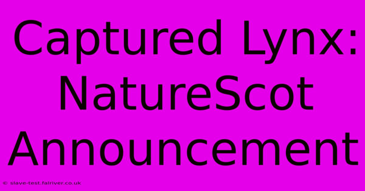 Captured Lynx: NatureScot Announcement