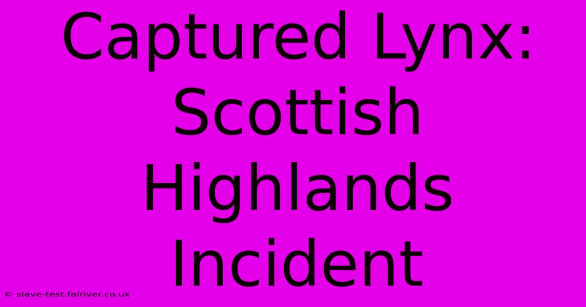 Captured Lynx: Scottish Highlands Incident