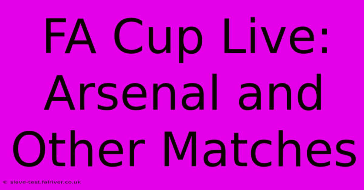 FA Cup Live: Arsenal And Other Matches