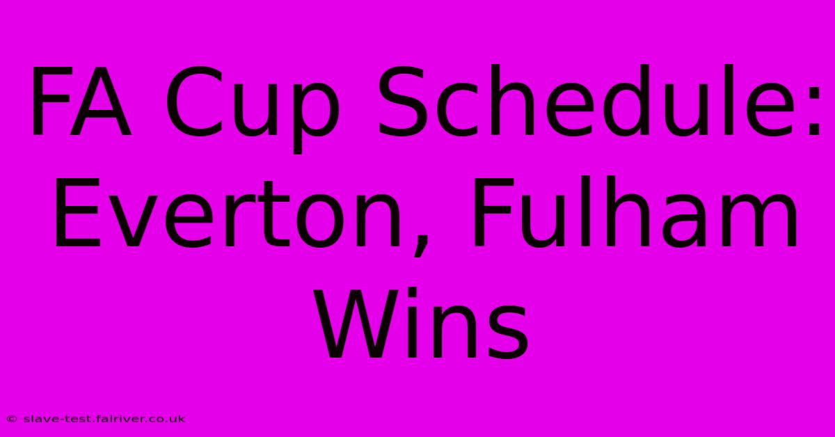 FA Cup Schedule: Everton, Fulham Wins