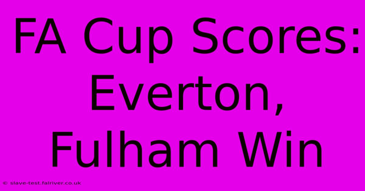 FA Cup Scores: Everton, Fulham Win