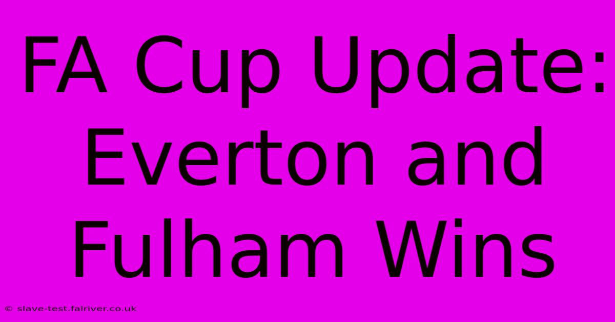 FA Cup Update: Everton And Fulham Wins