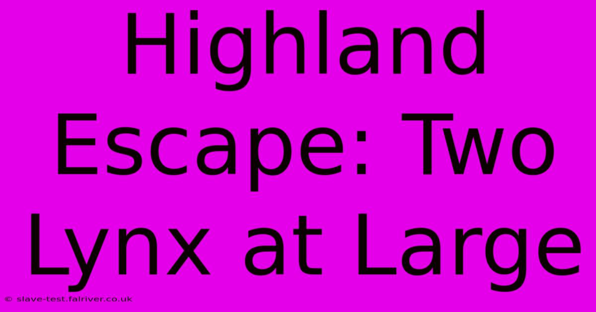 Highland Escape: Two Lynx At Large