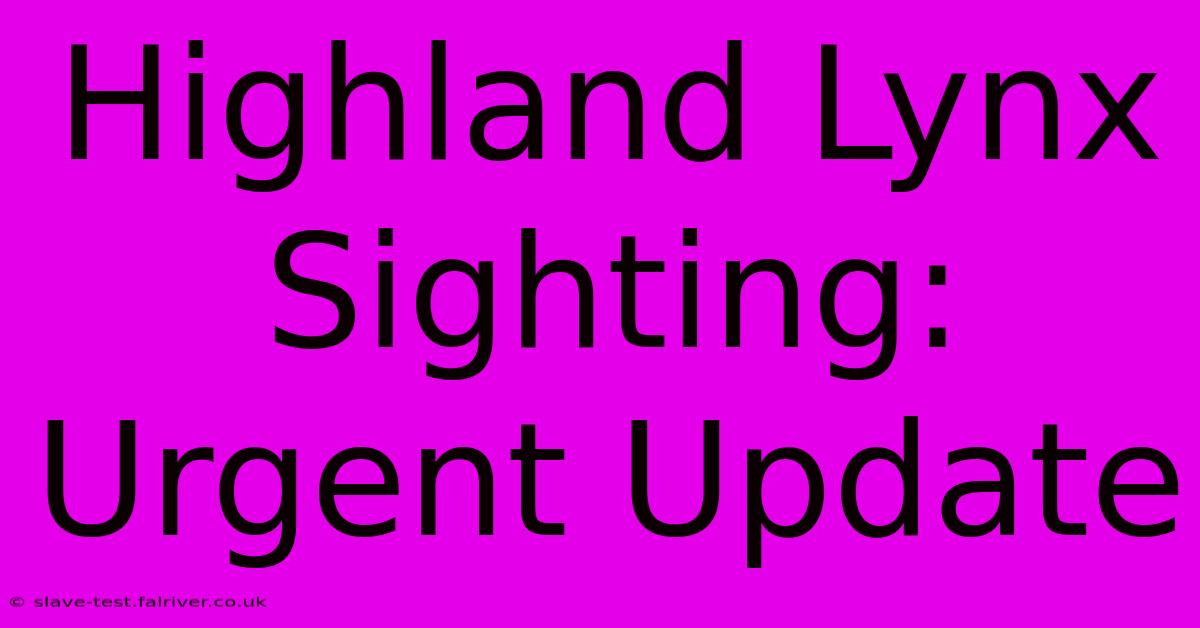 Highland Lynx Sighting: Urgent Update