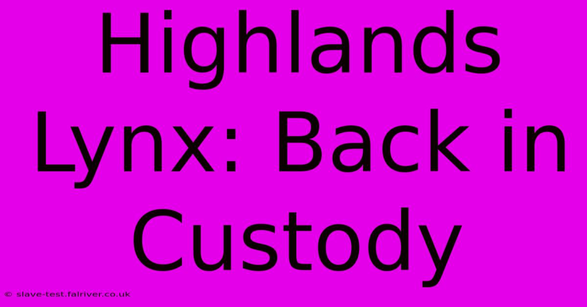 Highlands Lynx: Back In Custody