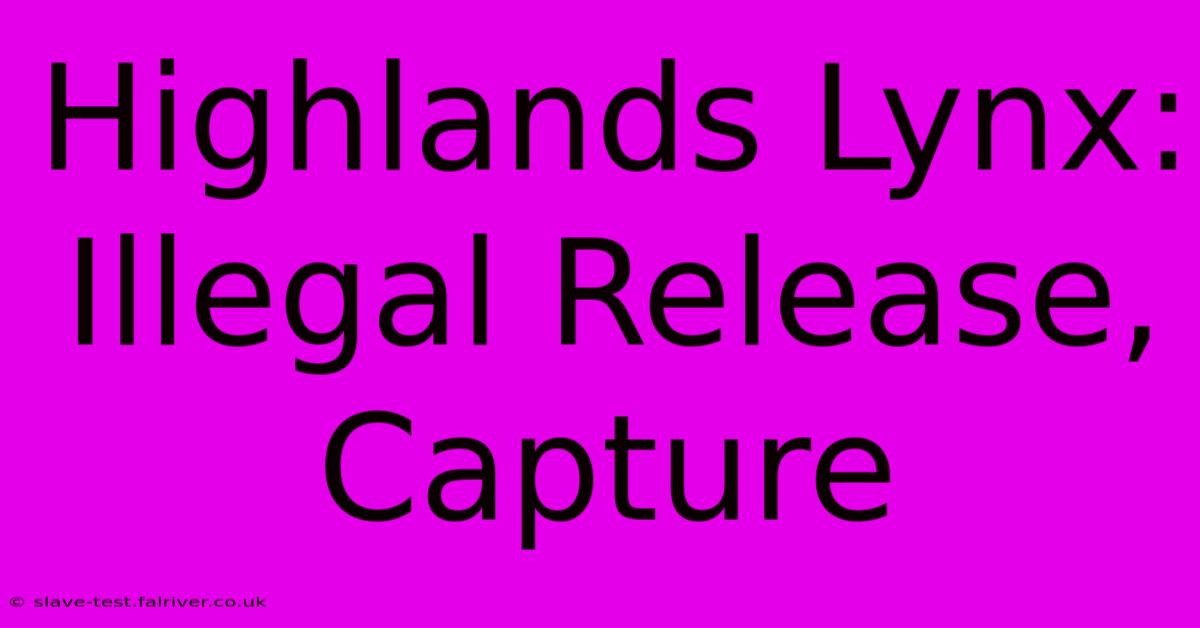 Highlands Lynx: Illegal Release, Capture