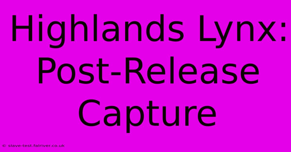 Highlands Lynx:  Post-Release Capture