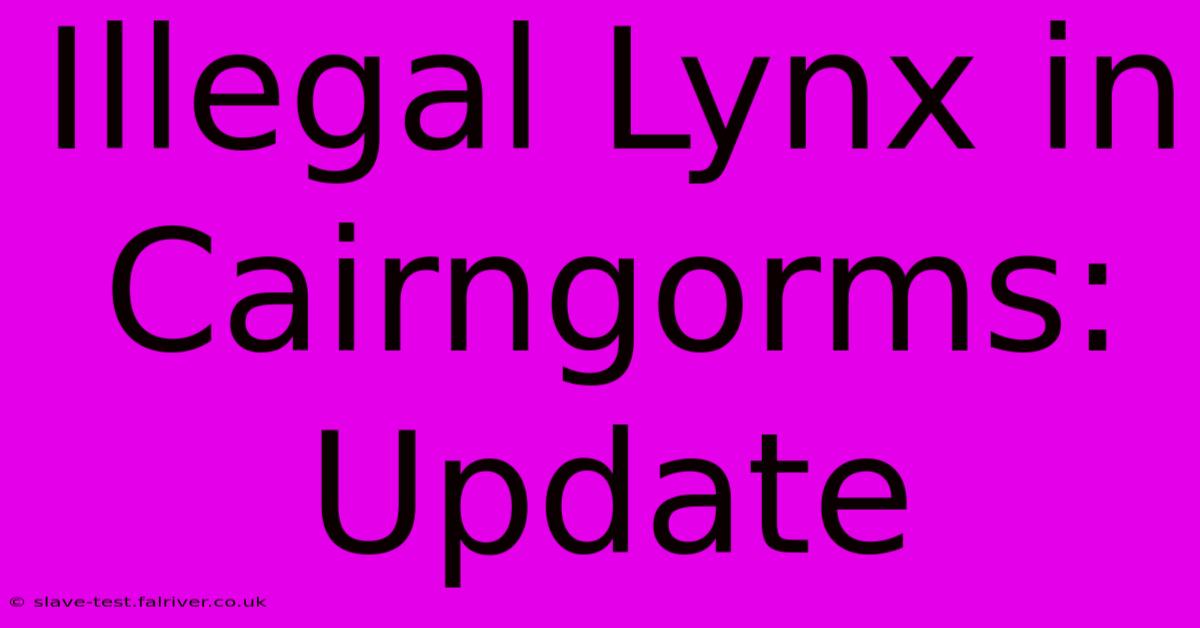 Illegal Lynx In Cairngorms: Update