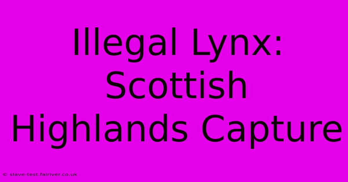 Illegal Lynx: Scottish Highlands Capture