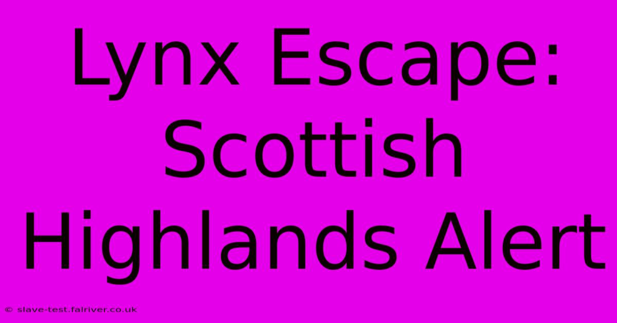 Lynx Escape: Scottish Highlands Alert