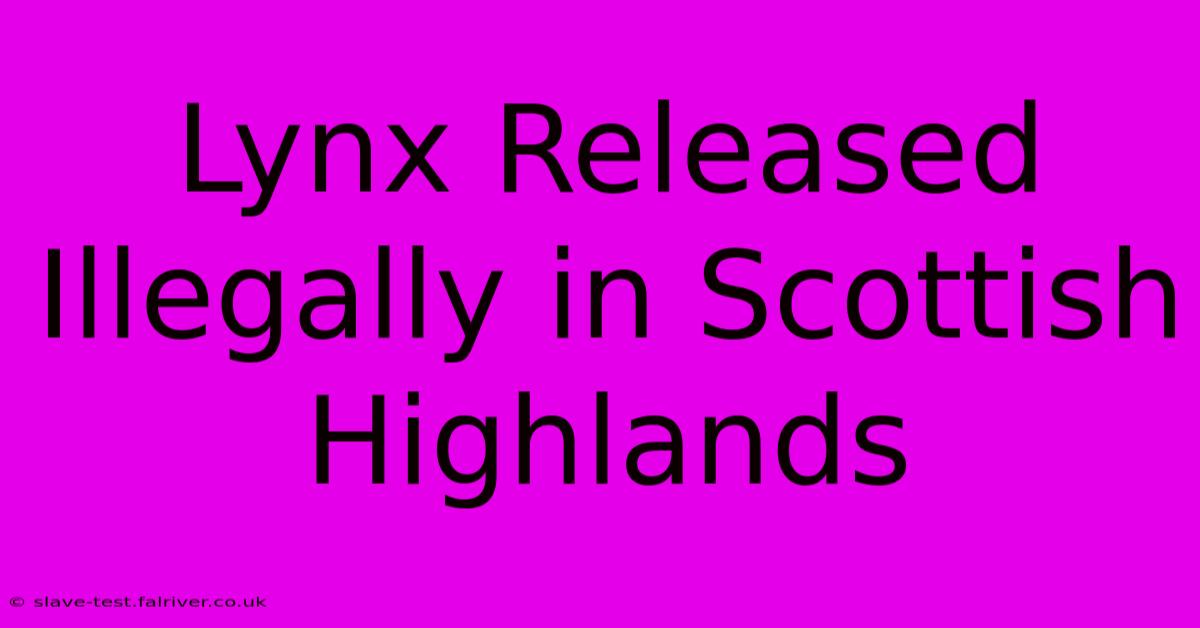 Lynx Released Illegally In Scottish Highlands