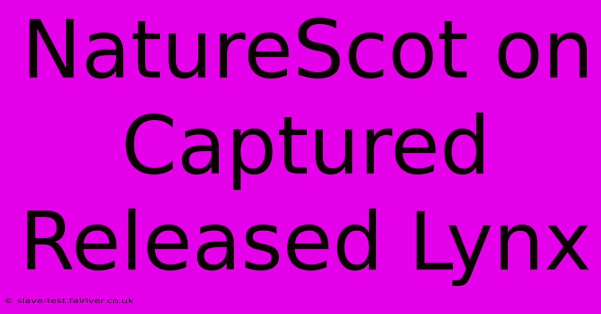 NatureScot On Captured Released Lynx