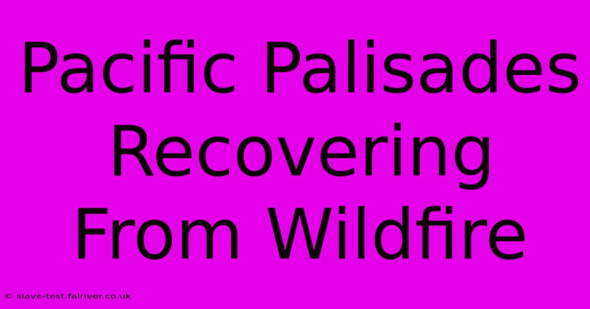 Pacific Palisades Recovering From Wildfire