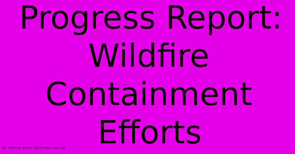 Progress Report: Wildfire Containment Efforts