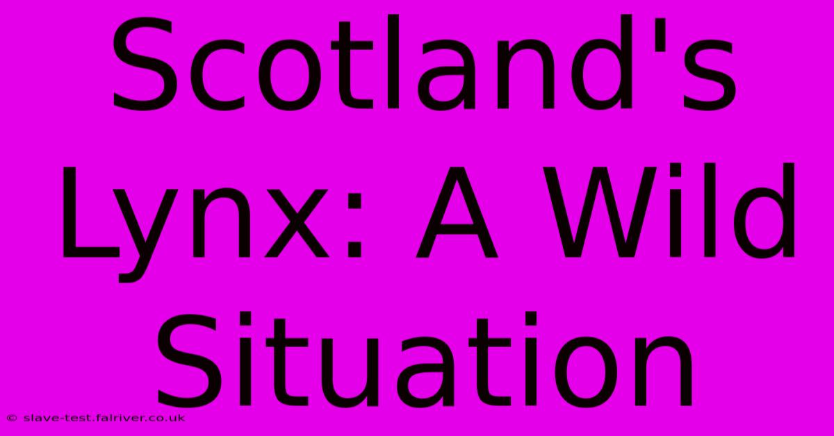 Scotland's Lynx: A Wild Situation