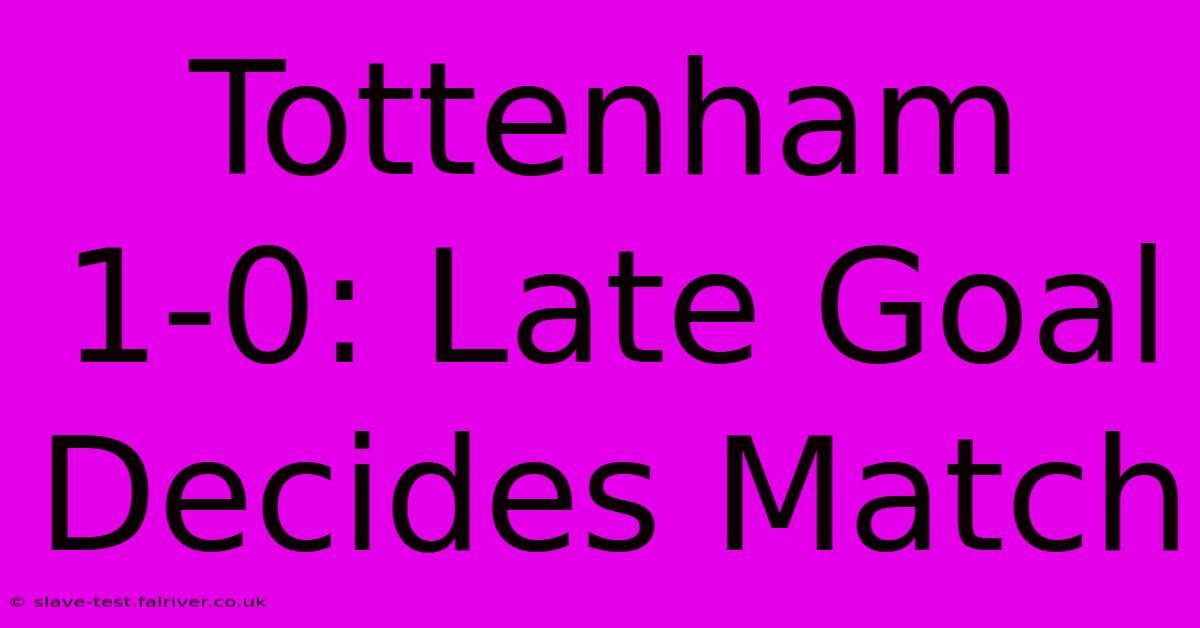 Tottenham 1-0: Late Goal Decides Match